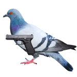 pigeonSs