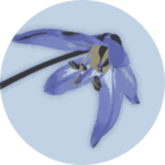 xed1f0231