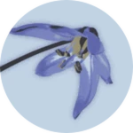xed1f0231