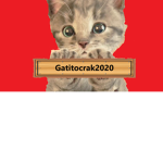 GATITO CRACK