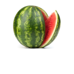 Watermelon_Shark gang