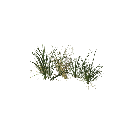 grass meshes (pbr, for brushtool)