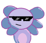 Veaxolotl