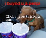 Help the Hurt animals Group