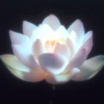 Fléuria Group Thumbnail