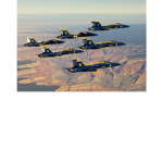 The Blue Devil's