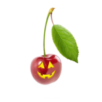 #Cherry Squad Fans!