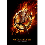 Hunger Games Fan Group. District 12