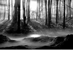 BullWorth Woodlands