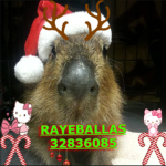 The Rayeballas