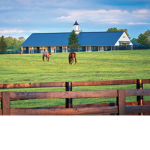 Summer Barn