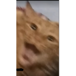 Your dad and mom hrugrhrveihe