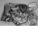 sleepy cats group meow meow