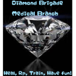 The Diamond Brigade's Medical Branch