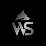 WS STUDIOS UGC