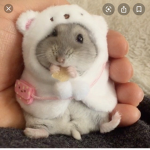 Baby animals r cute