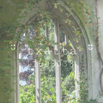 ᵕ̈ txatta ᵕ̈