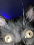 N_W_A