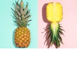 The amazing pineapple chat