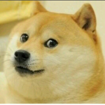 Ultimate Doge Group