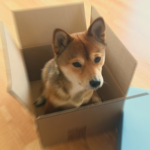 John's Basic Storage
