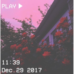 Bhadiies's Place Number: 0