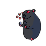 Blackjack Chomik