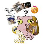Random Bingus
