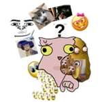 Random Bingus