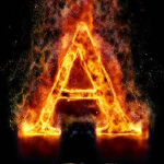 armandas group offical