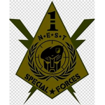 1st Special Forces United States Military 1960s.