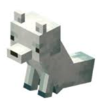 TEAM FOXY PL