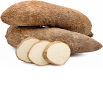 The yam group