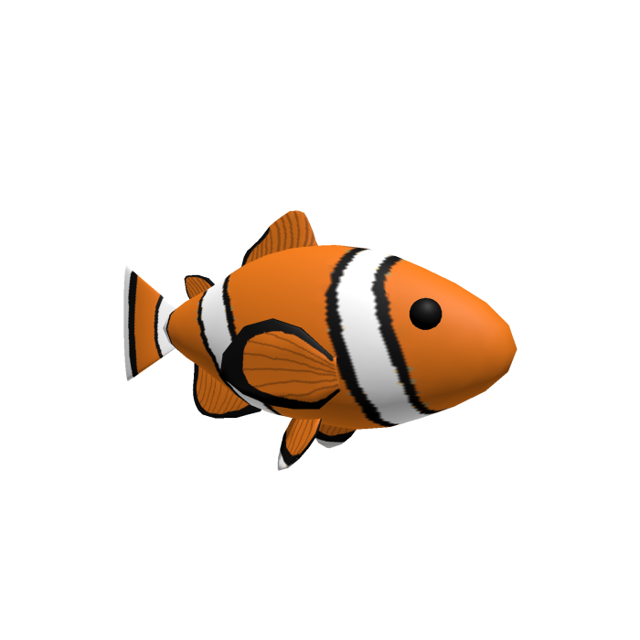 Clown Fish