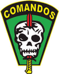 BAC 1 Turma Ações de Comandos Falconi