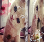 Hello kitty lover! Group Thumbnail