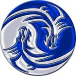 The Blue Dragon Warriors