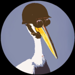 Official fan club of modest pelican gaming