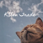Kitten Trade