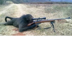 Sniper_monkeys