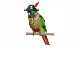 Yoshi Pirates Hangout