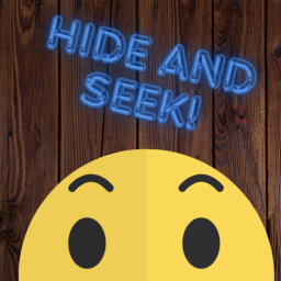 hide and seek