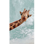 giraffeee army