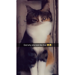 sophie_3674637 group