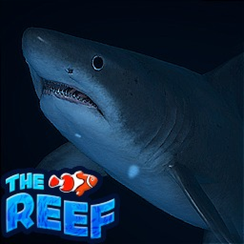 🦈 SEMANA DO TUBARÃO 🦈 | 🐠 O RECIFE 🐠