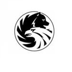Assualt Recon Corporation
