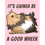 Guinea Pig ###### Group!