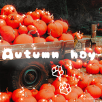 Autumn Hay