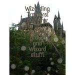 Wizarding Trainers