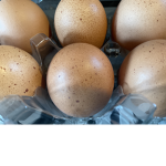 Egg fridge
